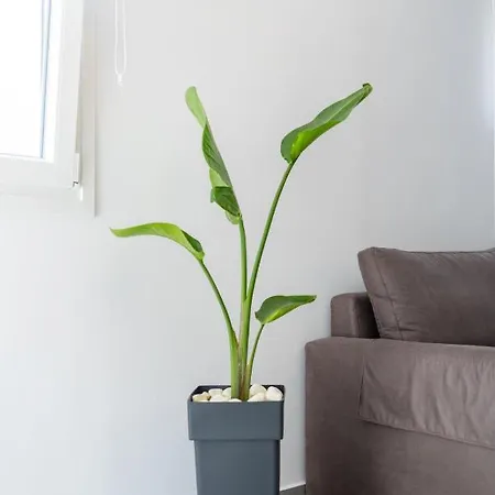 Apartment Alex Luxury Downtown House *